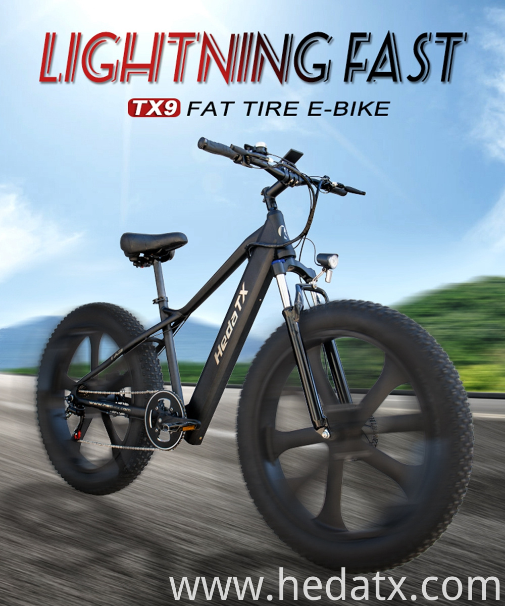 Fat Tire Electric Bicycle With Good Shock Absorption